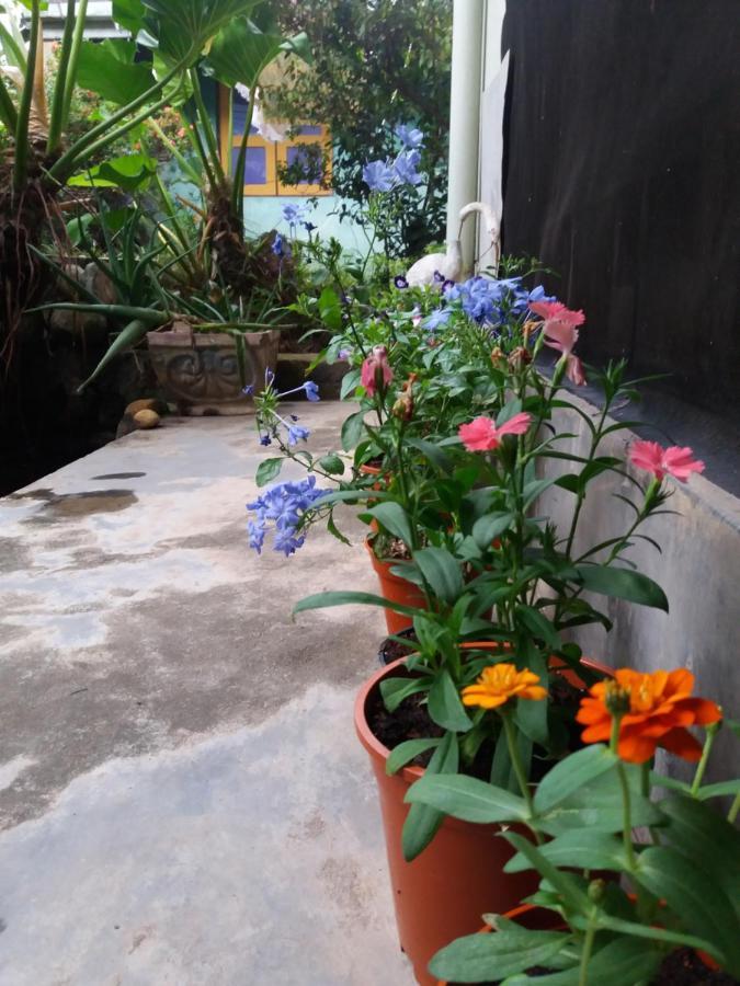 Mazz Homestay Negombo Exterior photo